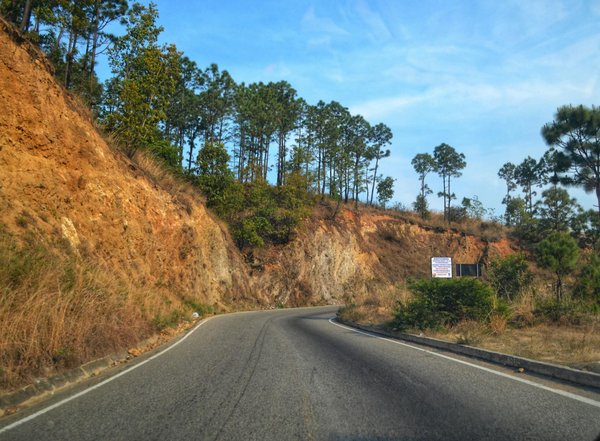 Comment choisir un concessionnaire auto de confiance ?